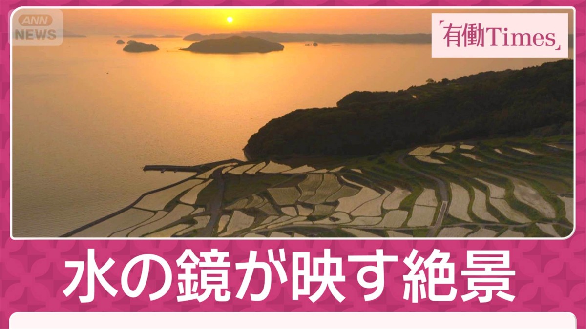 “初夏限定”空・海・大地が溶け合う琥珀色の原風景・長崎県松浦市「土谷棚田」