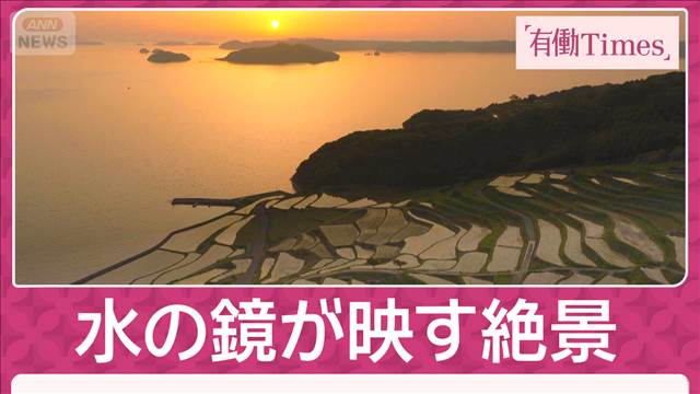 “初夏限定”空・海・大地が溶け合う琥珀色の原風景・長崎県松浦市「土谷棚田」