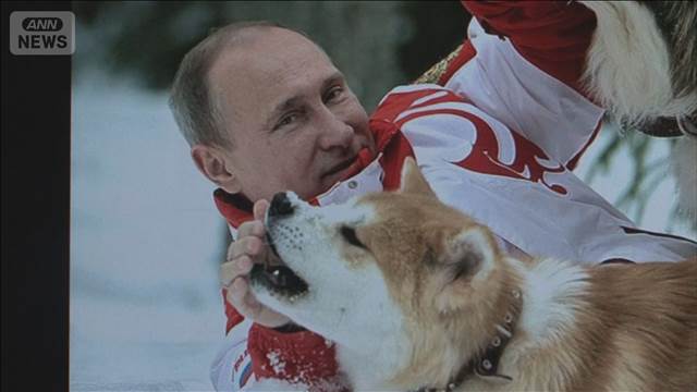 プーチン氏に贈呈秋田犬「ゆめ」死ぬ　震災支援のお礼　大統領府「高齢のため」