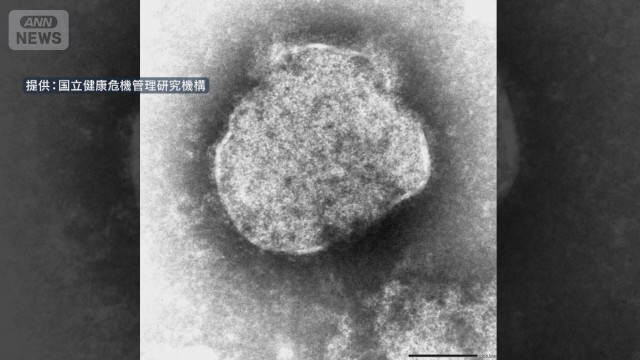 はしか感染者“去年の4倍”今年に入り479人　厚労省がワクチン接種呼びかけ