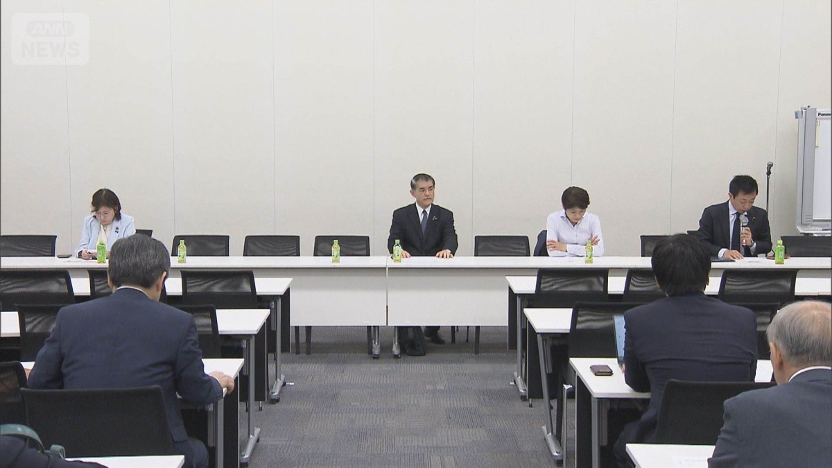 再審法の改正案　さらなる修正求める　超党派の議連が会合