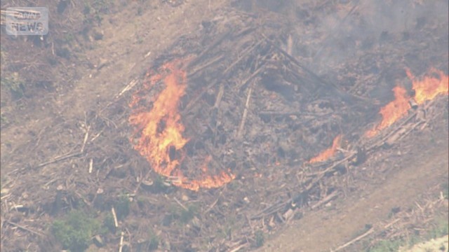 福岡・久留米市で山林火災が発生　「草刈り中に燃えた」現在も延焼中