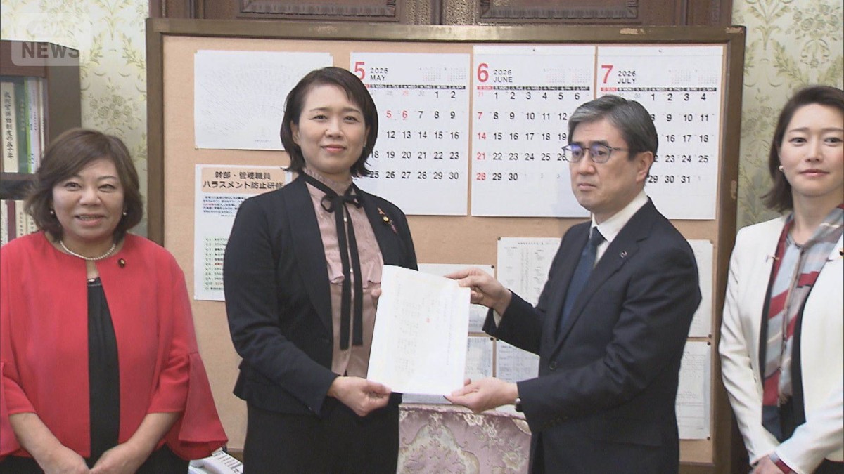 内密出産の法整備を　国民民主が法案提出