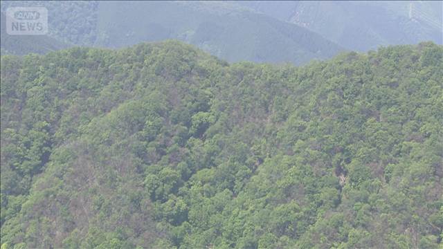 山中で遺体発見　クマなどに襲われた可能性　東京・奥多摩町　警視庁