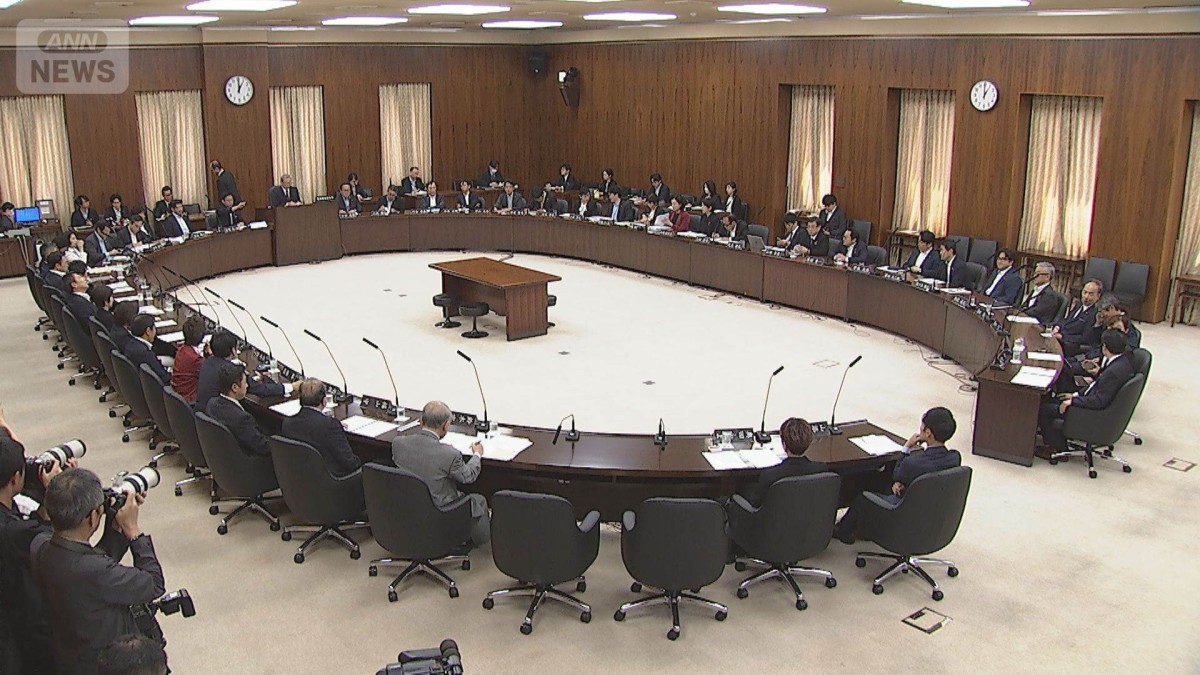 参院憲法審「合区」解消めぐり各党意見表明　与党は憲法改正による解消　野党は慎重論