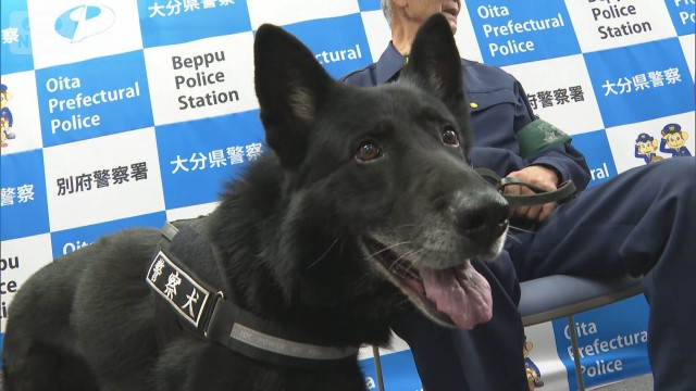 “お手柄”警察犬　3時間半で不明男性を発見　犬用のジャーキーが贈られる