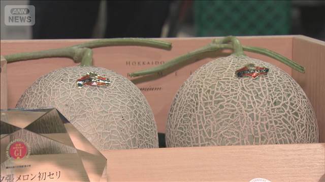 夕張メロン 2玉580万円で落札　札幌で初競り　過去最高値