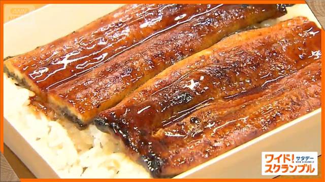世界初！完全養殖ウナギ　来週から販売　気になる価格は？