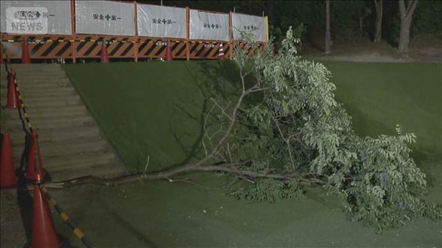 公園で木の枝落下　子ども3人けが　京都・宇治市