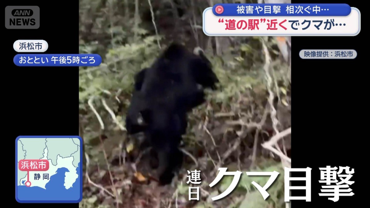 被害や目撃相次ぐなか…“道の駅”近くでクマ目撃も