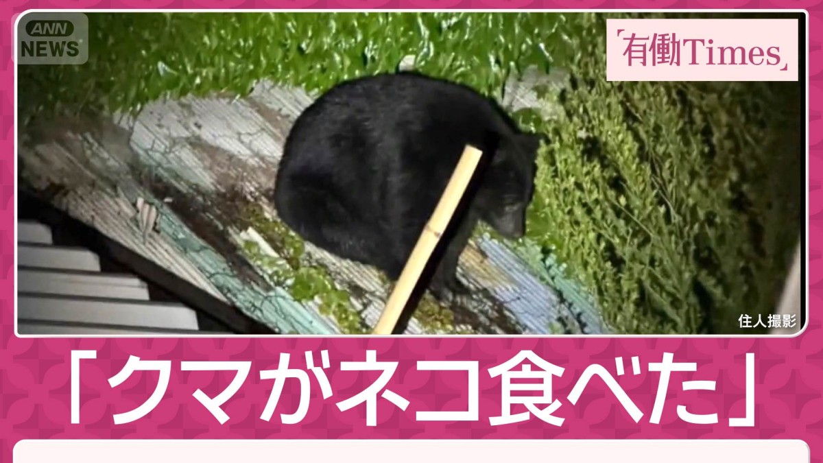 クマ猫様へ 飼い主証言 クマがネコを「食べていた」 “屋根クマ”6時間半＆「子グマ