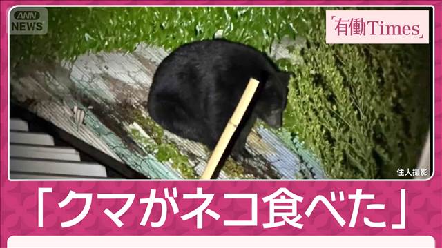 飼い主証言 クマがネコを「食べていた」 “屋根クマ”6時間半＆「子グマが飛んだ」