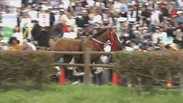馬が観客らとぶつかり6人けが　「相馬野馬追」武者落馬後に…