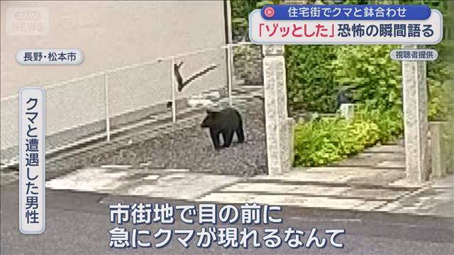 市街地でクマ目撃相次ぐ　クマと鉢合わせ　恐怖の瞬間語る　長野