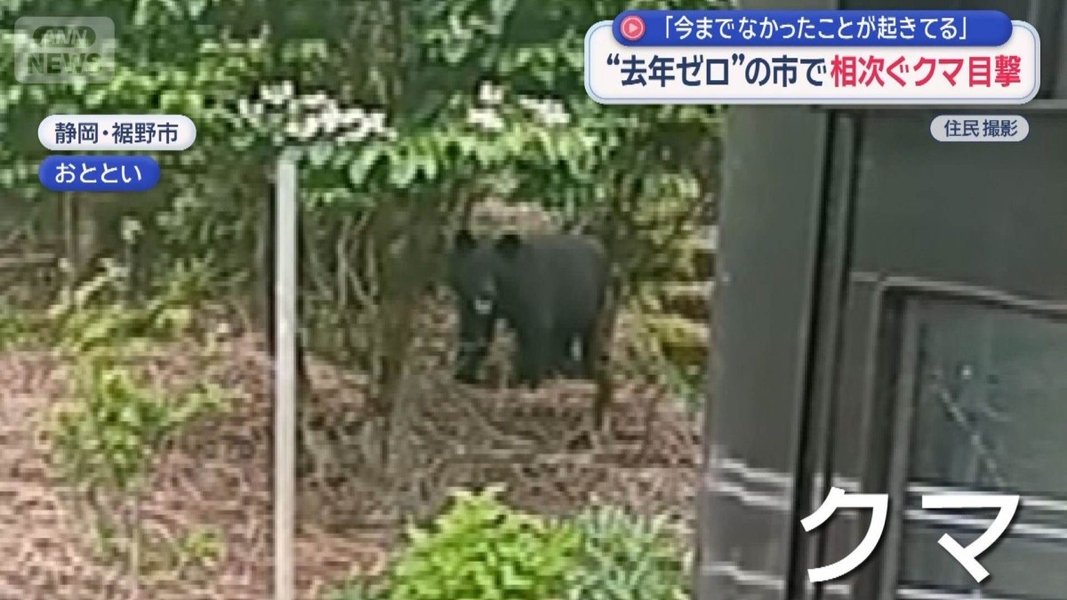 “去年ゼロ”の市で相次ぐクマ目撃　「今までなかったことが起きている」