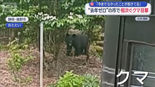 “去年ゼロ”の市で相次ぐクマ目撃　「今までなかったことが起きている」