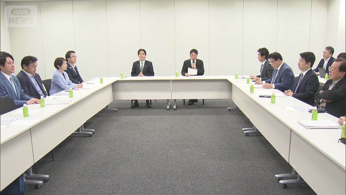 給付付き税額控除　政府・自民がイメージ案提示