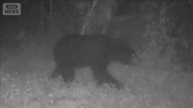東京・八王子市でまたクマ出没　入山者に注意　市街地に近づく可能性も