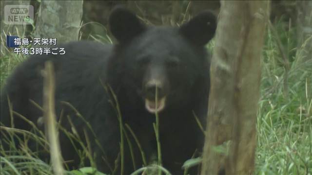 クマに襲われ70代男性けが　現場周辺は警戒態勢　福島・天栄村