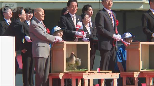 本州初 トキの放鳥 半世紀ぶり8羽が能登の空へ