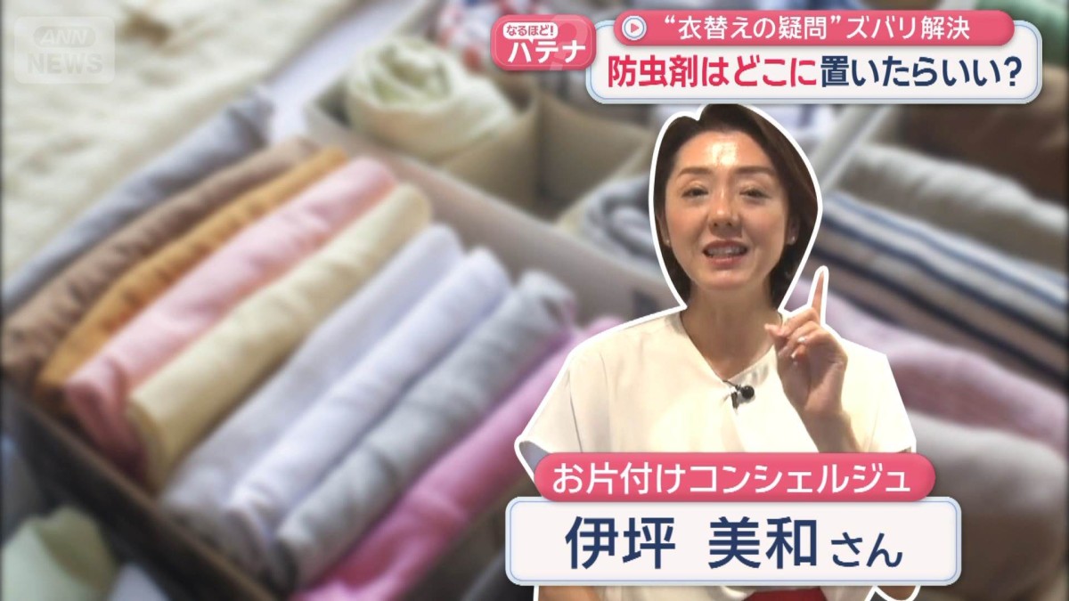 “衣替えの疑問”ズバリ解決　防虫剤はどこに置いたらいい？