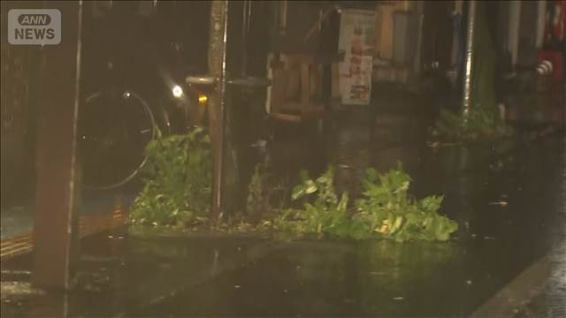 台風6号　奄美から西日本に接近　線状降水帯や暴風に警戒