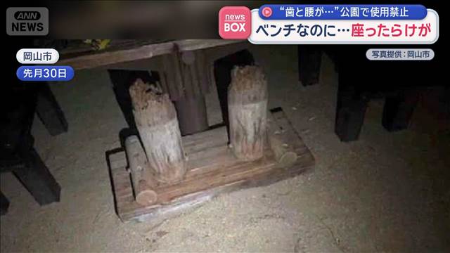 “歯と腰が…”公園で使用禁止　ベンチなのに座ったらけが