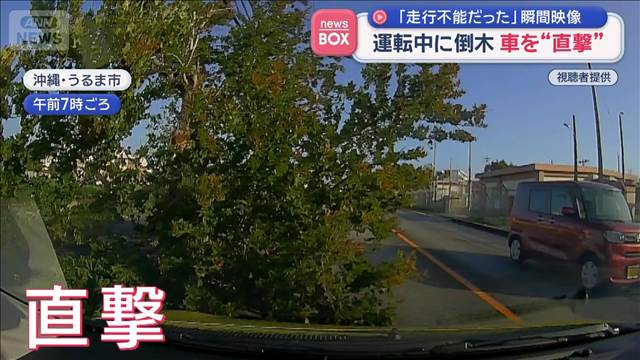 「走行不能だった」運転中に倒木　車を“直撃”　沖縄