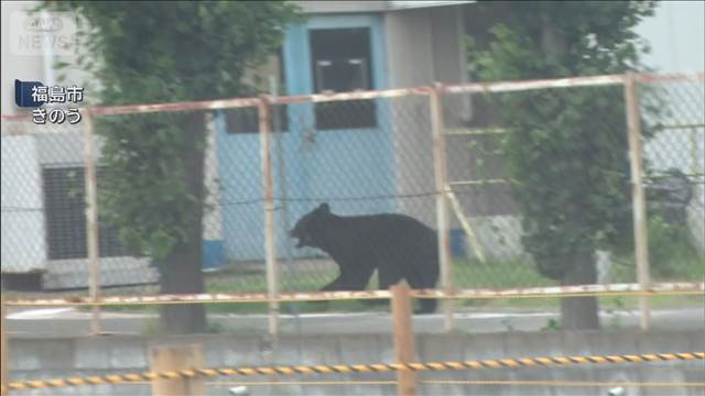 4人襲撃のクマ　工場の建物内に居座り続く　福島市