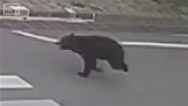 4人襲ったクマが工場外に移動したことを確認　「緊急銃猟」を解除　福島市