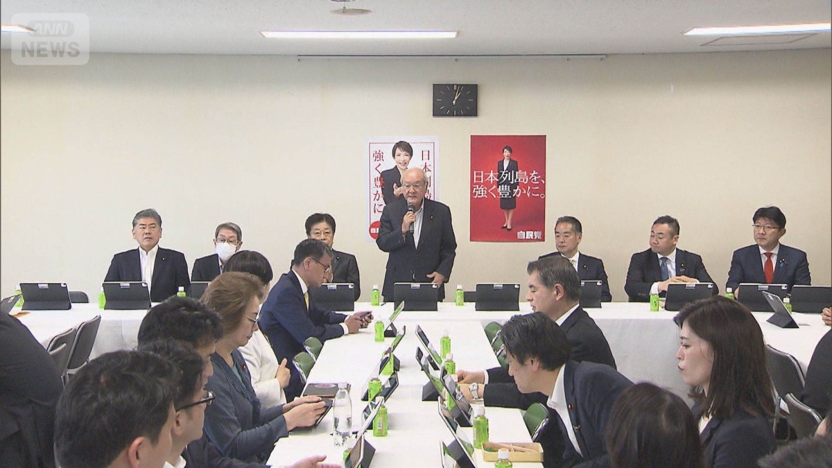 「自民党は独裁政党じゃない」　議員定数「比例で45削減」方針に党内から反発の声