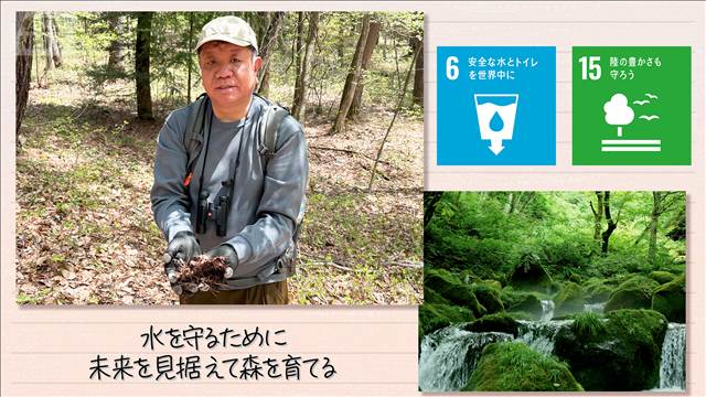 【SDGs】水を守るために未来を見据えて森を育てる