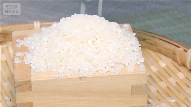 コメ先安観が引き続き優勢　米穀機構5月調査　需給見通しは約5年ぶり低水準