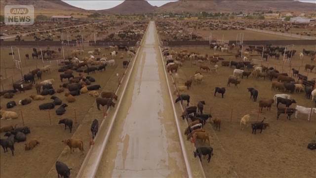 生きた肉食べる寄生虫が米国で検出　米国では約10年ぶり　牛肉価格上昇に懸念も