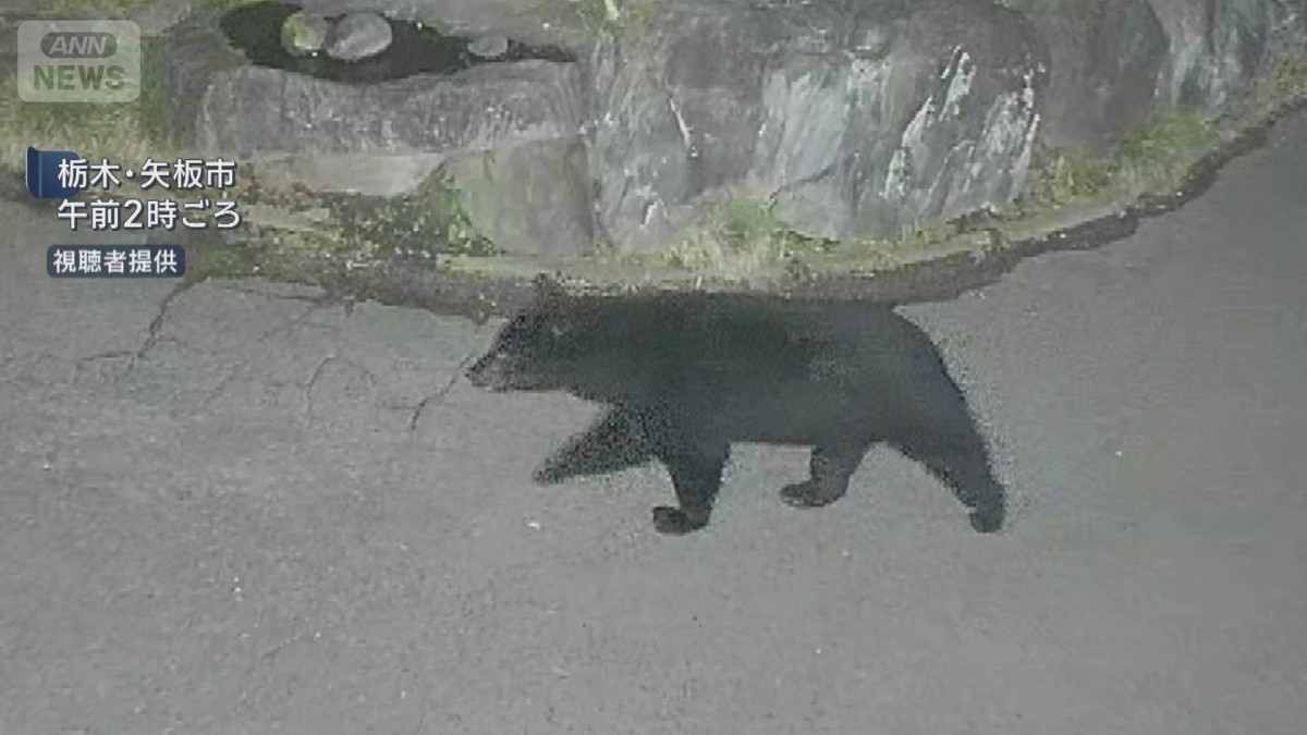 クマが住宅敷地内に出没 体長1.5メートル 防犯カメラに