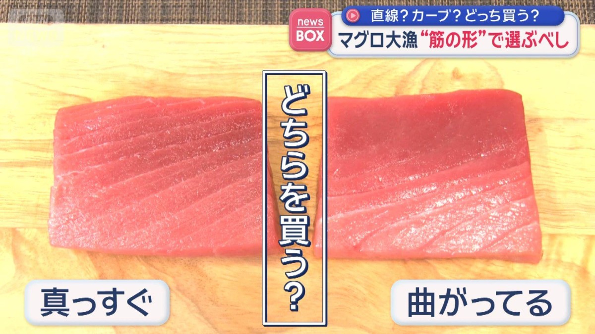 マグロ大漁　“筋の形”で選ぶべし 直線？カーブ？　