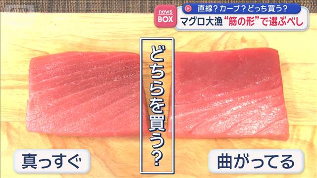 マグロ大漁　“筋の形”で選ぶべし 直線？カーブ？　