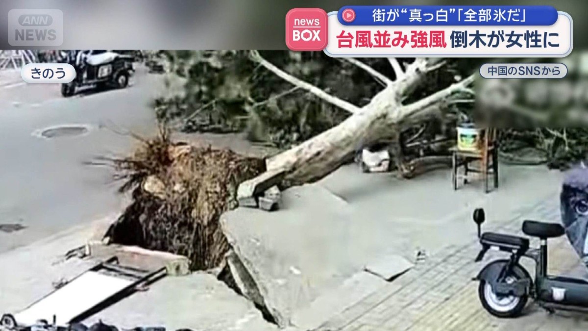 台風並み強風　倒木が女性に　町が“真っ白”「全部氷だ」　中国