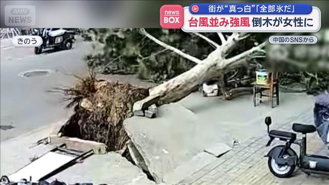 台風並み強風　倒木が女性に　町が“真っ白”「全部氷だ」　中国