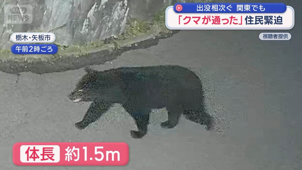 関東でもクマ出没相次ぐ　深夜の住宅敷地内を「クマが通った」住民緊迫