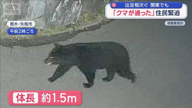 関東でもクマ出没相次ぐ　深夜の住宅敷地内を「クマが通った」住民緊迫