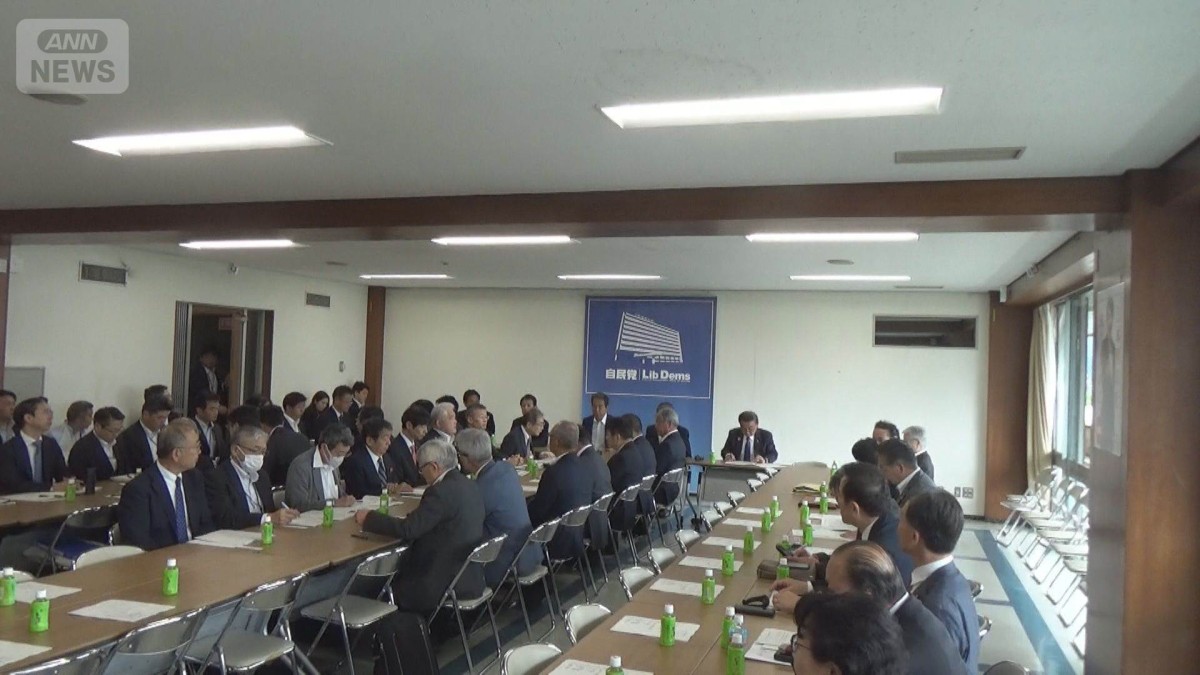 南米とのEPA交渉　自民党内から慎重論