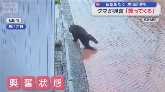 クマが興奮「襲ってくる」　目撃相次ぐ　生活影響も