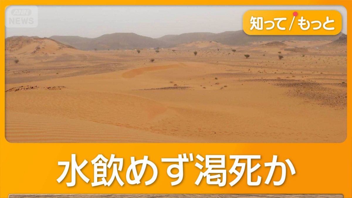 サハラ砂漠で道に迷ったトラック故障、49人死亡　水飲めず渇死か　2人は徒歩で町に