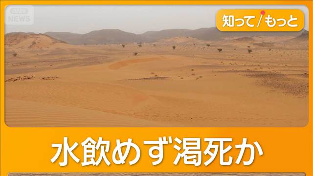 サハラ砂漠で道に迷ったトラック故障、49人死亡　水飲めず渇死か　2人は徒歩で町に