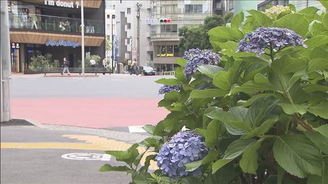 【速報】関東甲信・東海地方の梅雨入りを発表　平年並み　気象庁