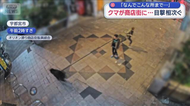 クマが商店街に 目撃相次ぐ「なんでこんな所まで…」　宇都宮市