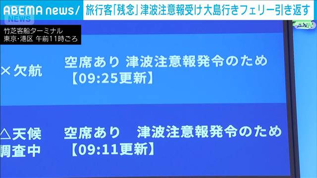津波注意報の影響受け 大島行きフェリー引き返す 旅行客「残念」