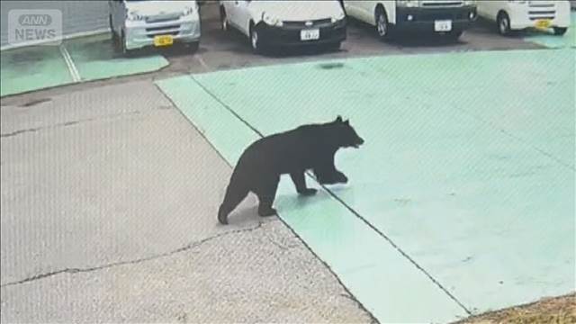 宇都宮市 きょうも小中学校休校　クマ捕獲も2頭目の可能性否定できず