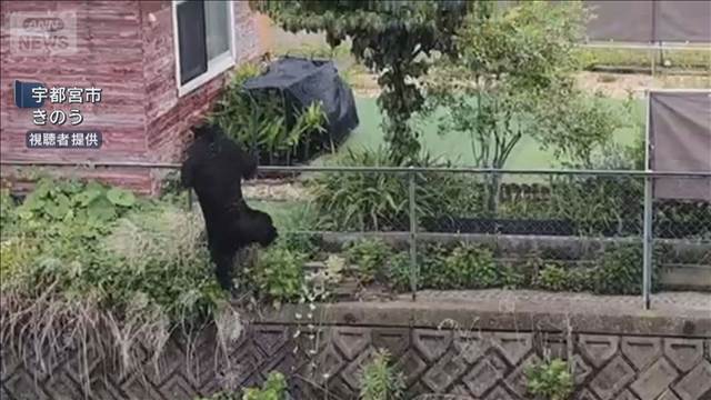 1頭捕獲も他のクマ“可能性”　小中学校の休校続く　宇都宮市